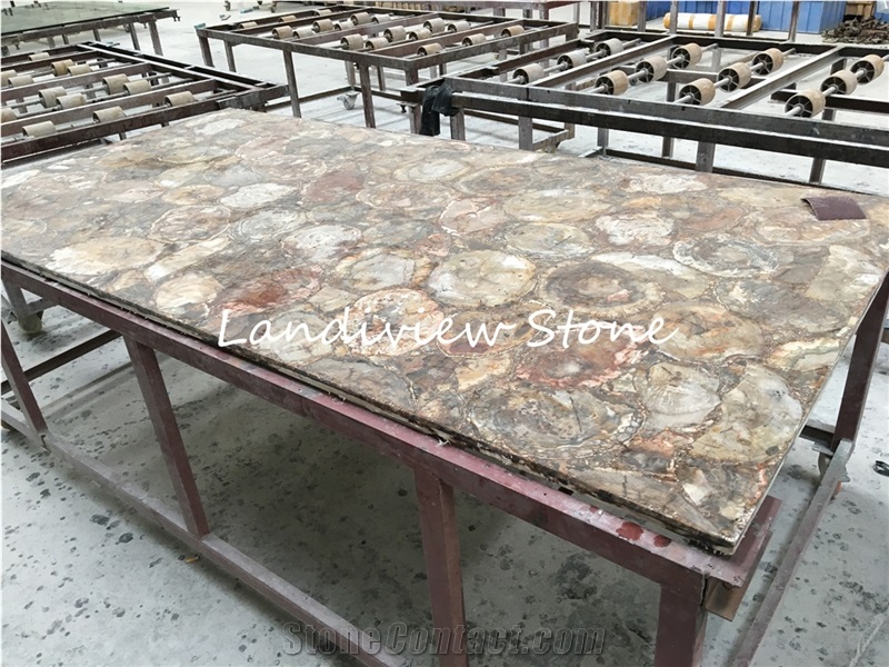 Petrified Wood Semiprecious Stone Slabs