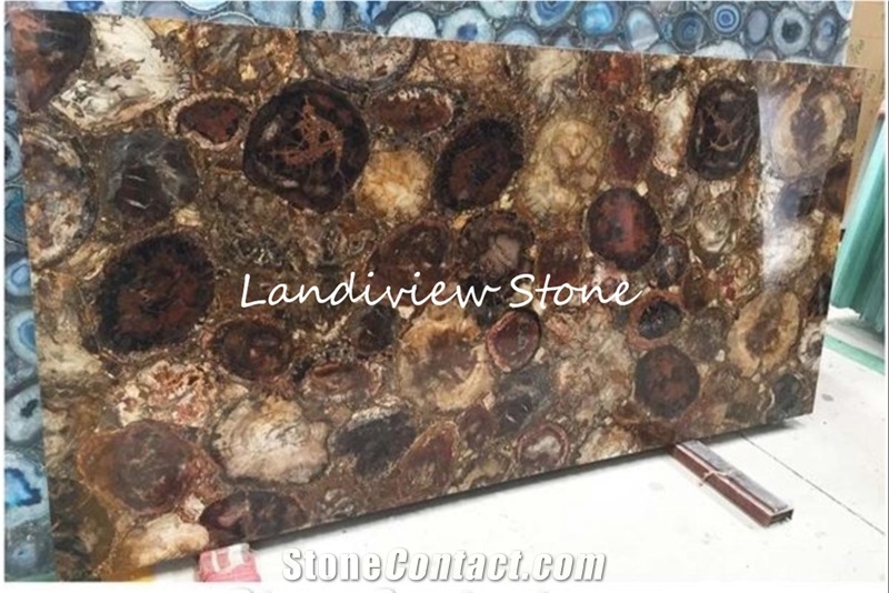 Petrified Wood Semiprecious Stone Slabs