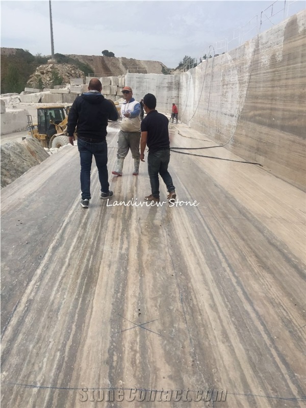 Silver Travertine Alabastrino Classic Travertine