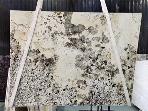 Oro Fino Granite Butterfly Gold Natural Stone Slab