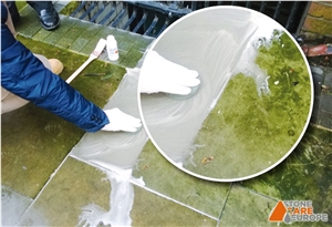 Alganet - Algae, Moss, Mould Cleaning Detergent