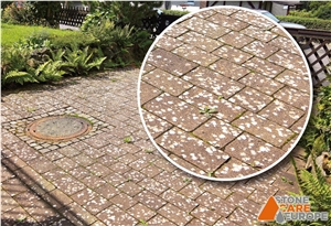 Alganet - Algae, Moss, Mould Cleaning Detergent