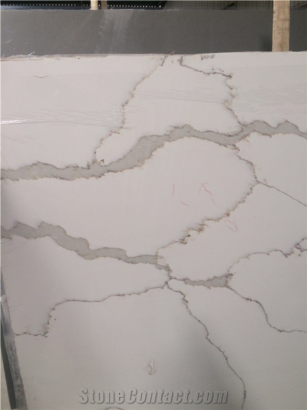 Calacatta C White Quartz Polished Slabs