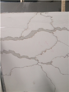 Calacatta C White Quartz Polished Slabs Calacatta C White Quartz Polished Slabs