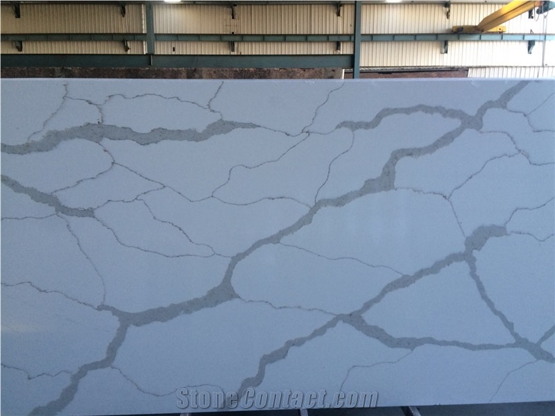 Calacatta C White Quartz Polished Slabs