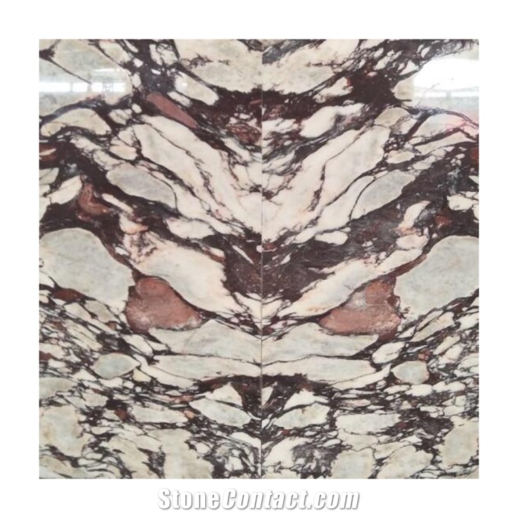 Polished Breccia Vagli Violetta Marble for Tables