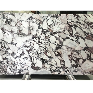 Polished Breccia Vagli Violetta Marble for Tables