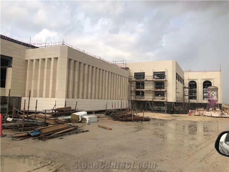 Fossil Wood Grain Limestone Tiles for Building Wall