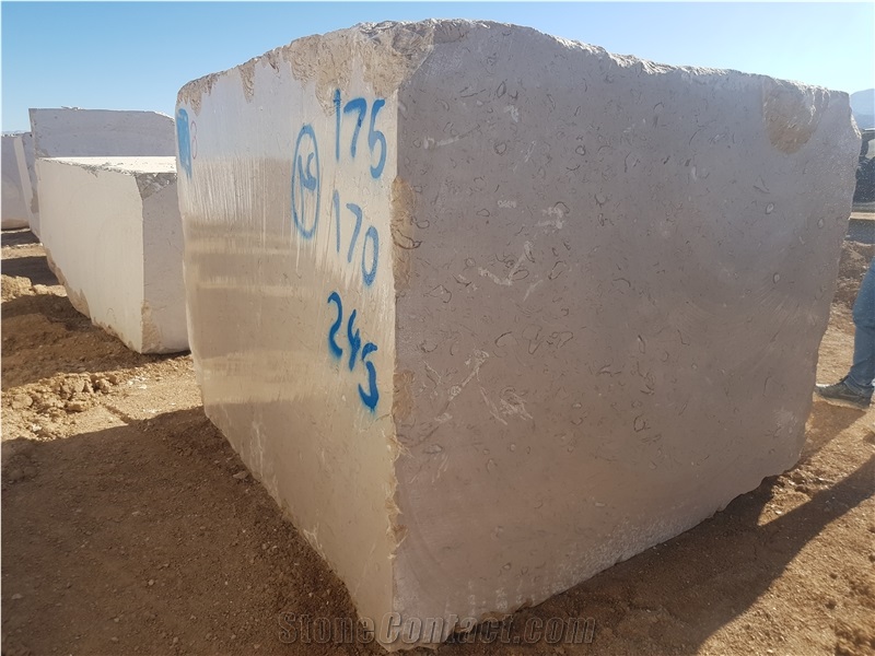 Fossil Beige Marble Block, Iran Beige Marble