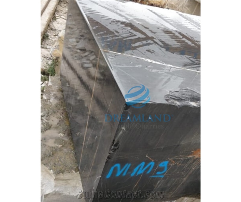 New Black Aziza Blocks