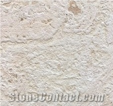 Coral Stone