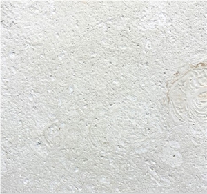 Shell Reef Limestone Brushed Tiles Shell Reef Limestone Brushed Tiles