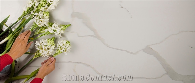 Calacatta Quartz