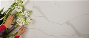 Calacatta Quartz