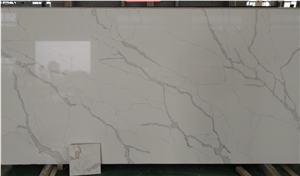 Fish Belly Calacatta Quartz Kitchen