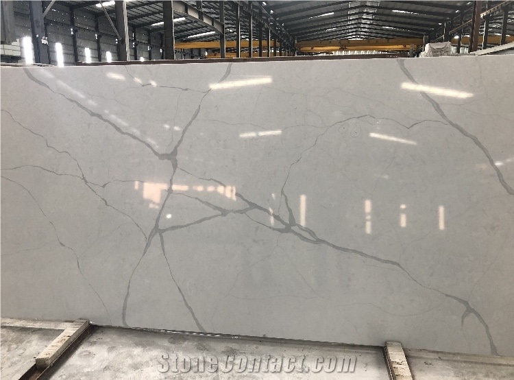 Fish Belly Calacatta Quartz Slabs
