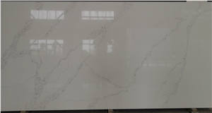 Fish Belly Calacatta Quartz Stone