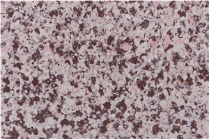 Multicolour Quartz Slabs