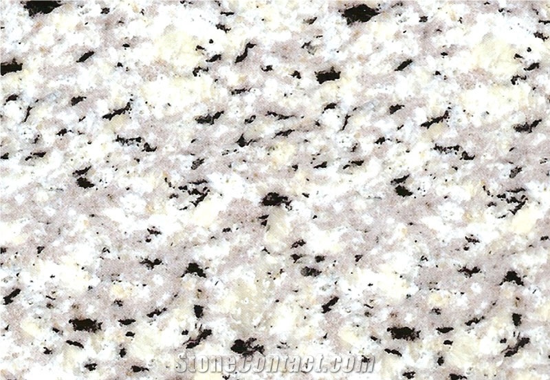 White Natanz Granite Block, Iran White Granite