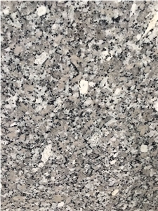 Vietnam White Granite, Khanh Hoa Granite Slabs & Tiles
