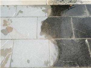 Alganet - Algae, Moss, Mould Cleaning Detergent