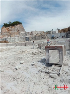 Silver Serpeggiante White Wood Grain Marble Slabs