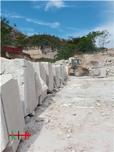 Silver Serpeggiante White Wood Grain Marble Slabs