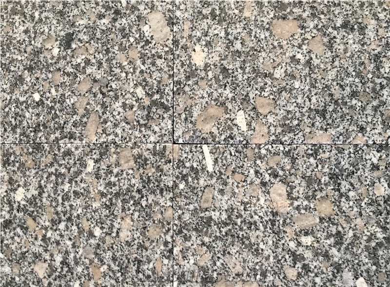G341 Light Grey Granite Cheap Granite Tile