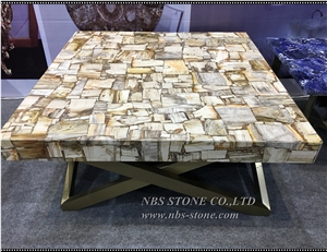 Petrified Wood Slab Brown Petrified Wood