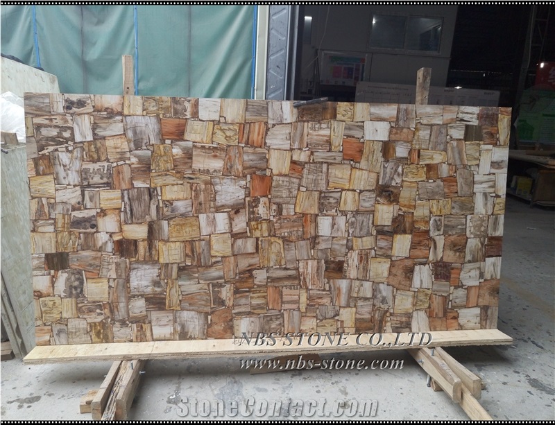Petrified Wood Slab Brown Petrified Wood