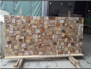 Petrified Wood Slab Brown Petrified Wood