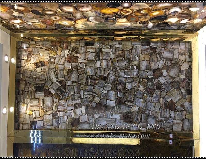 Petrified Wood Slab Brown Petrified Wood