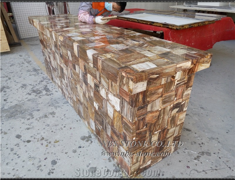 Petrified Wood Slab Brown Petrified Wood