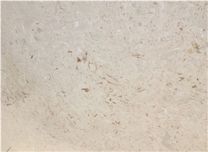 Fossil Limestone (Myra Beige), Myra Limestone