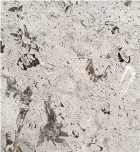 Aurisina Fiorita Marble Slabs & Tiles
