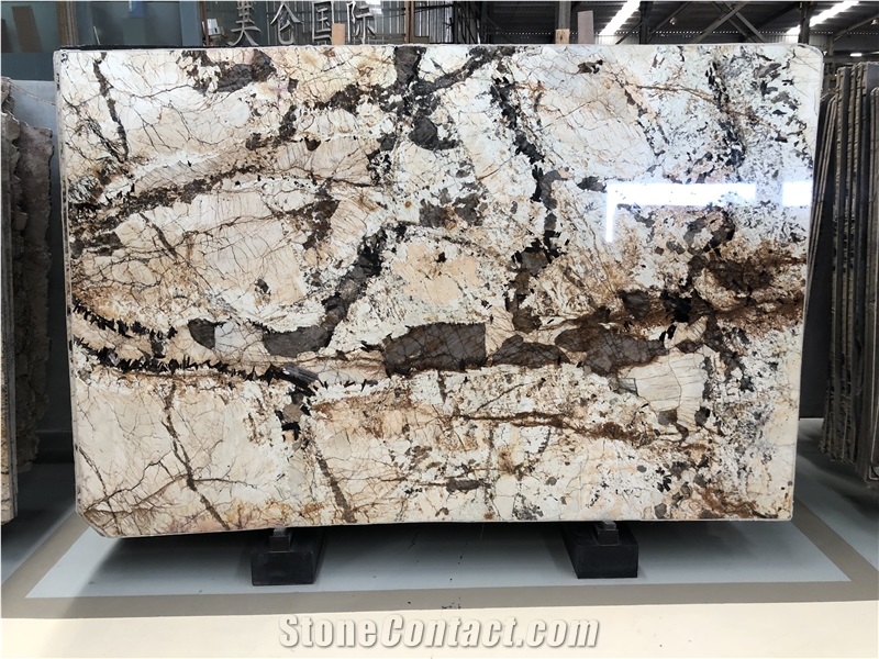 Patagonia White Blanc Du Quartzite Luxury Slabs