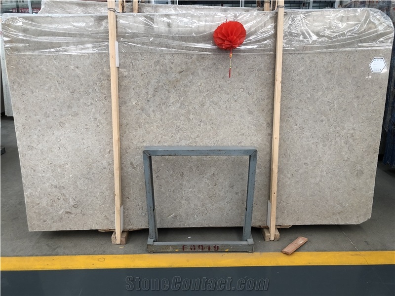 Platinum Light Grey Marble for Wall Floor Covering