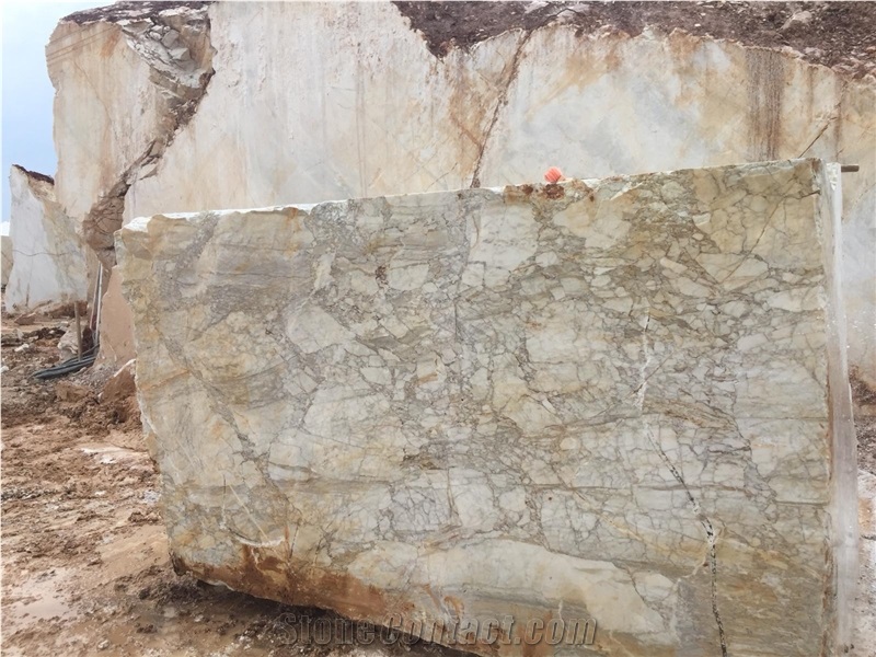 Calacatta Vagli Marble Blocks