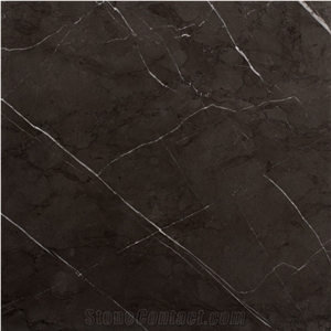 Pietra Gray Marble Slab & Tile, Iran Gray Marble