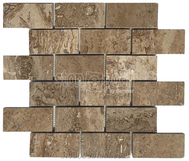 2"X4"Fossil Noche Trv F&Polished Cultured Stone