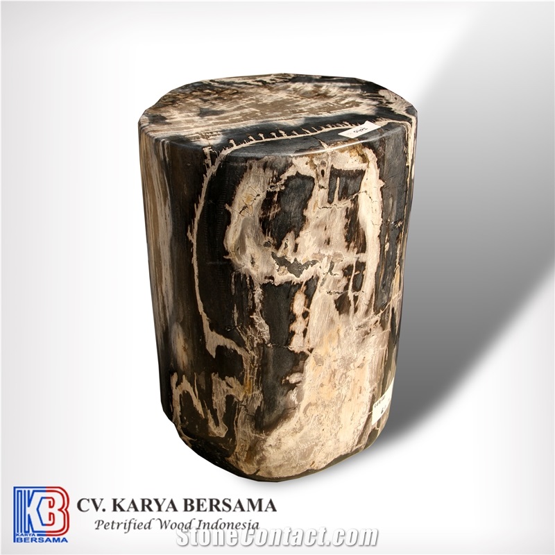 Petrified Wood Round Side Table and Stools