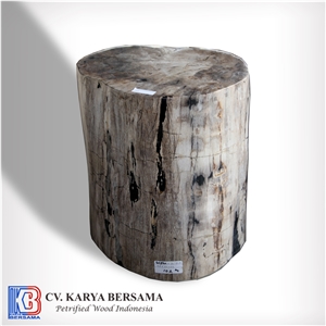 Petrified Wood Round Side Table and Stools