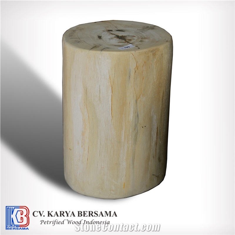 Petrified Wood Round Side Table and Stools