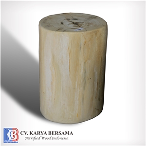 Petrified Wood Round Side Table and Stools