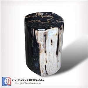 Petrified Wood Round Side Table and Stools