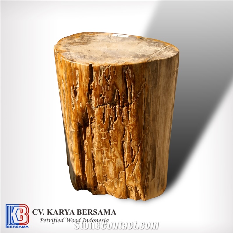 Petrified Wood Round Side Table and Stools