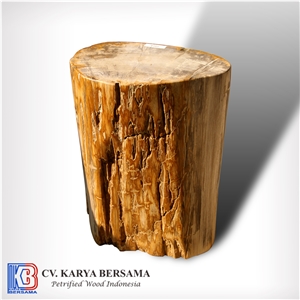 Petrified Wood Round Side Table and Stools