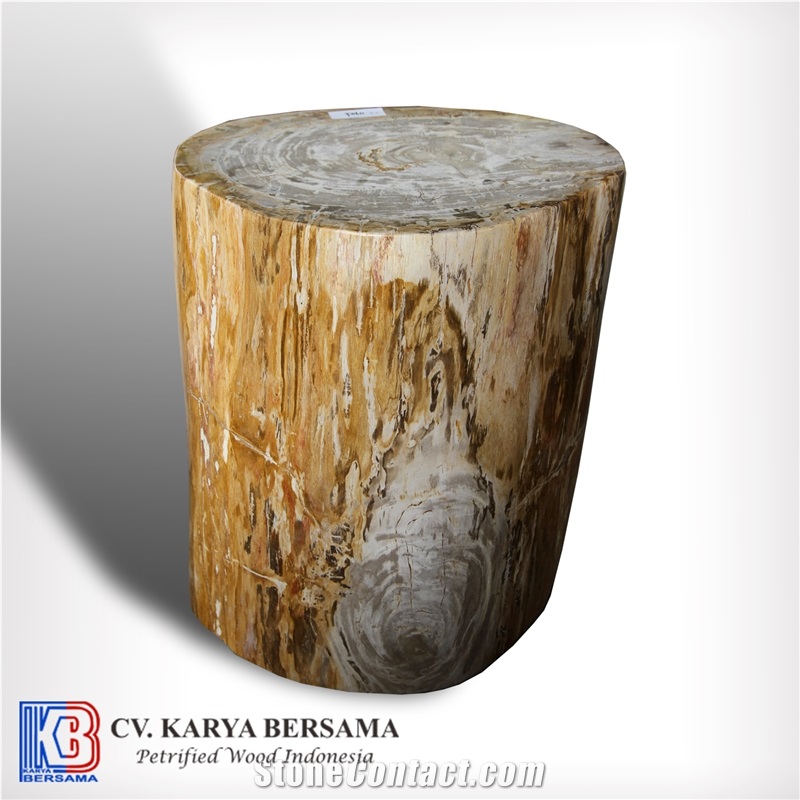 Petrified Wood Round Side Table and Stools