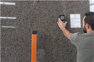 Najran Platinum Granite Slabs