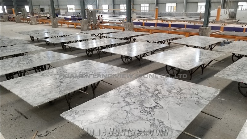 Bianco Eclipsia Light Grey Quartzite Wall Tiles